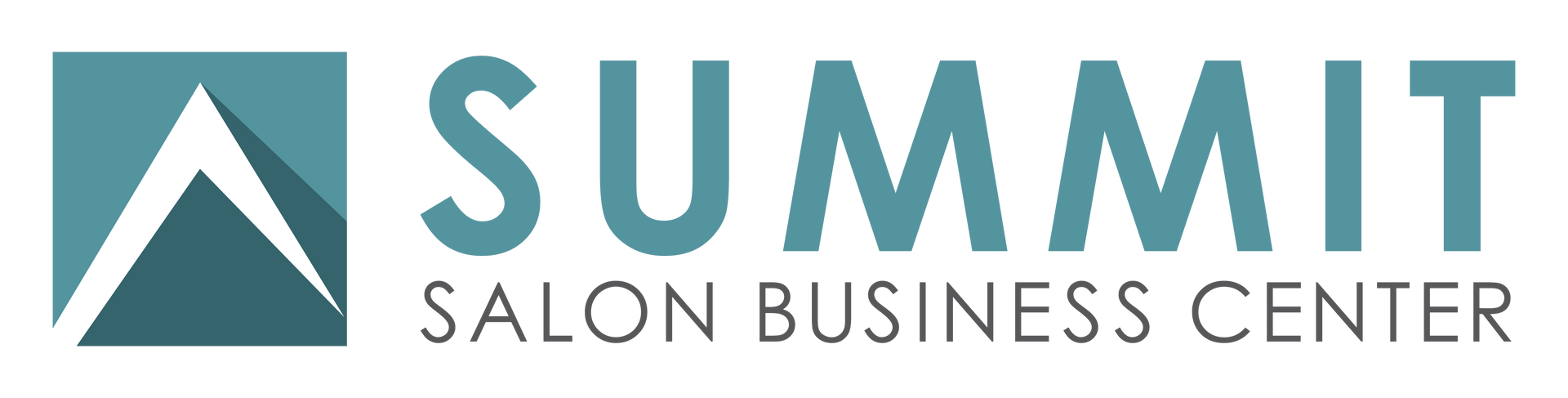 Summit Salon Updated Logo