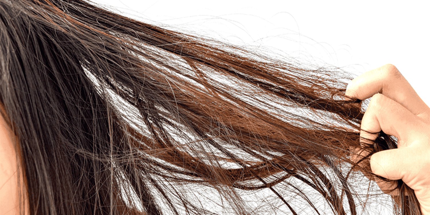 Most Popular Red Hair Color Shades | Matrix