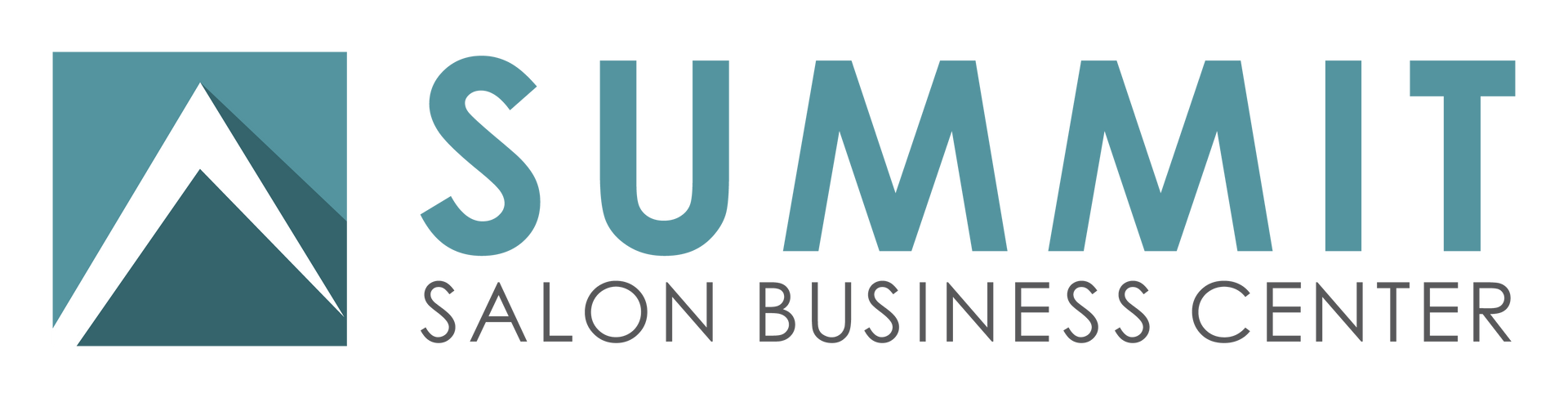 Summit Salon Updated Logo