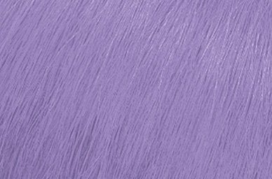 Lavender Macaron