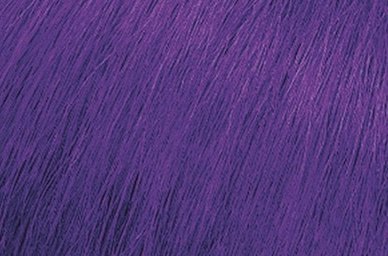 Royal Purple