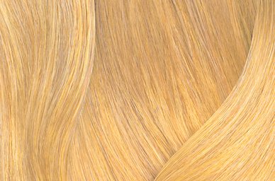 Extra Light Warm Neutral
