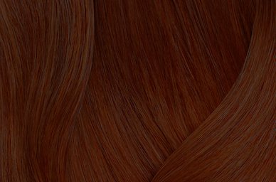 Darkest Brown Neutral