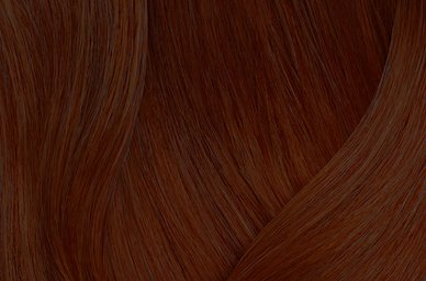 Darkest Brown Warm Neutral