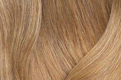 Extra Light Blonde Neutral