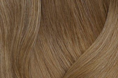 Dark Blonde Neutral Warm