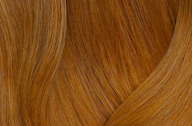 Dark Blonde Warm