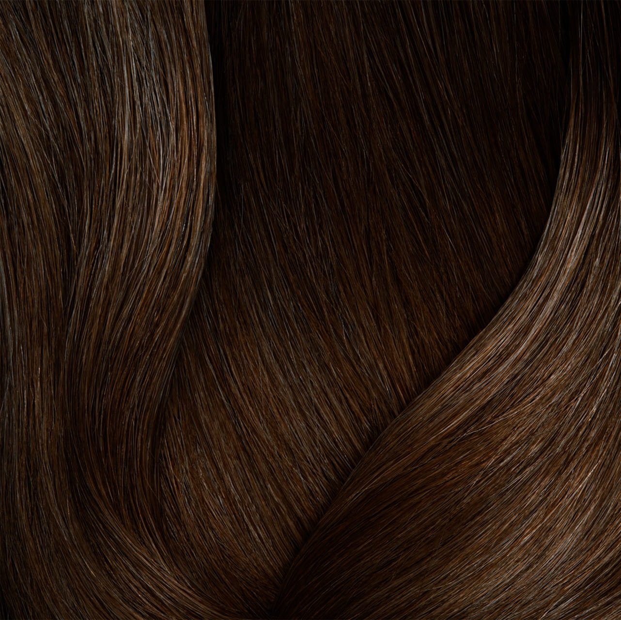 Darkest Brown Neutral 